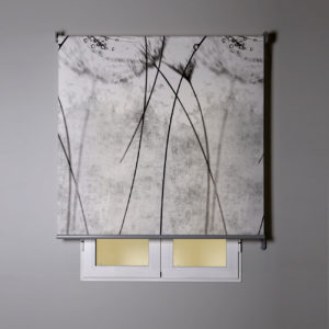 Estor enrollable diente de león gris